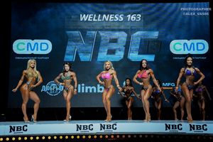 WELLNESS 163